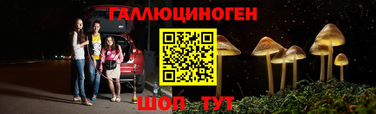 что такое наркотик  Вход с VPN  Галлюциногенные грибы Psilocybe  Нижневартовск  Галлюциногенные грибы прущие грибы 